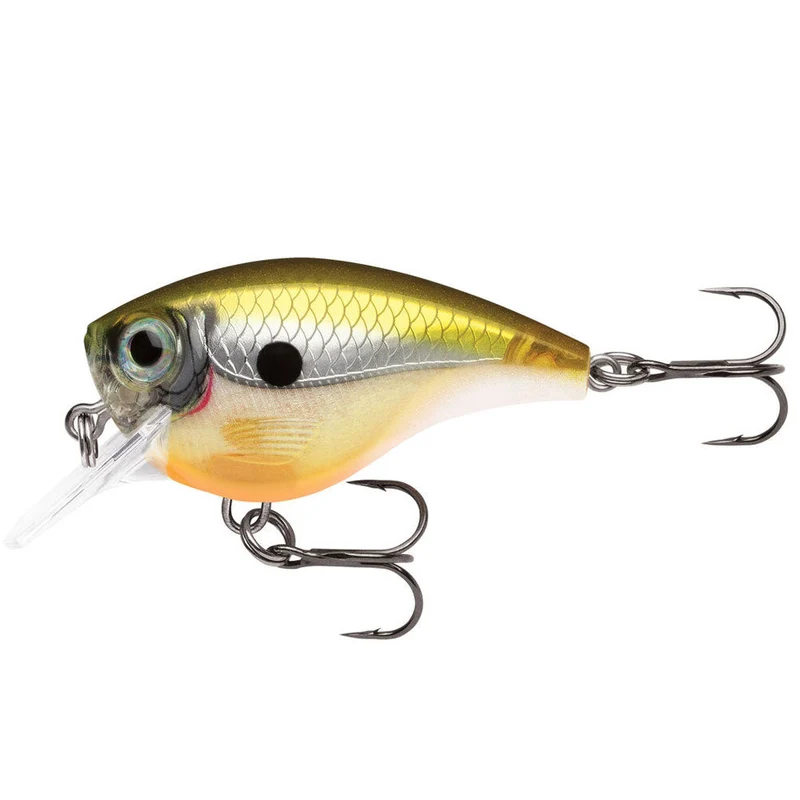 BX Brat 6' Depth / 5 cm