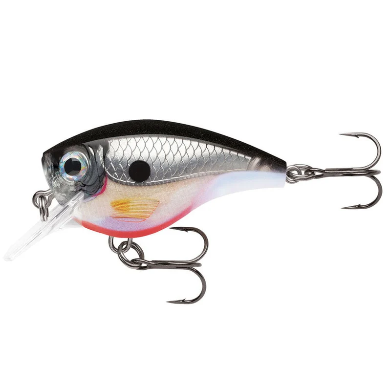 BX Brat 6' Depth / 5 cm