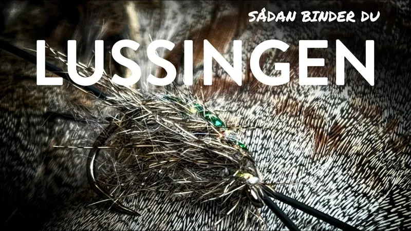 Die Lussingen