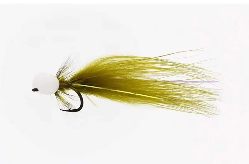Tölpelfliege - Olive