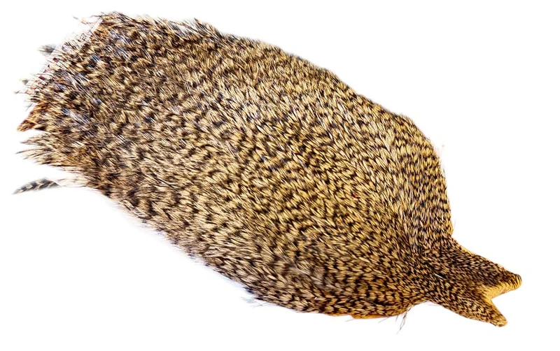 Whiting Coq De Leon - Grizzly gefärbtes Braun