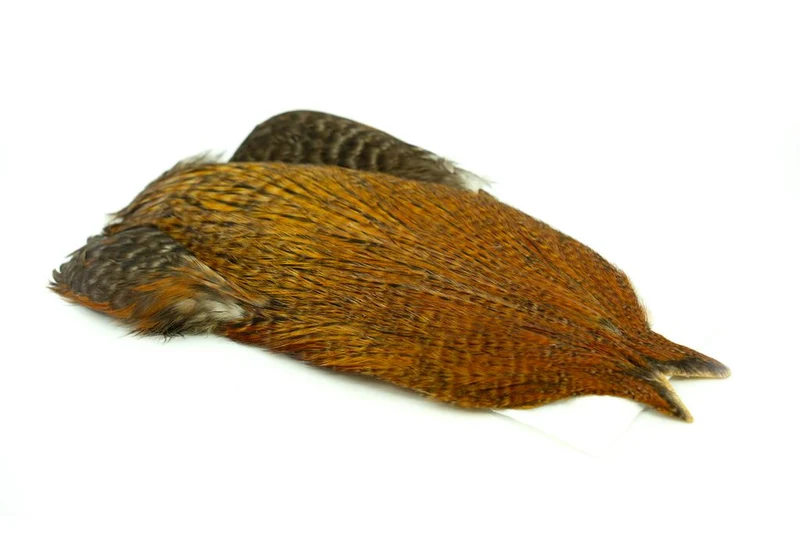 4B Whiting Rooster Cape - Variante