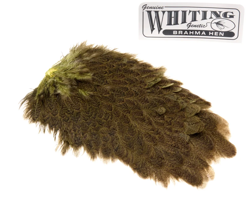 Whiting Brahma Sattel - Olive