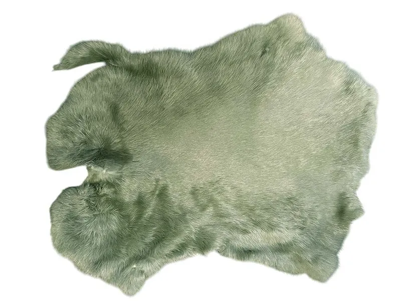 Ganzes Kaninchen - Olivenflaum