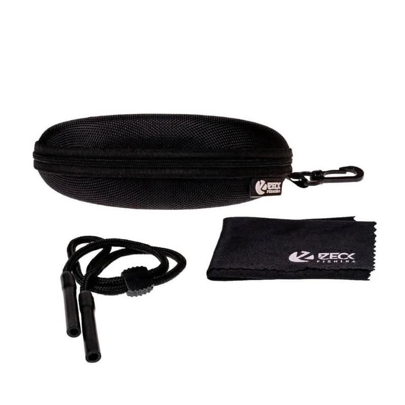 Polarized Classic Glasses
