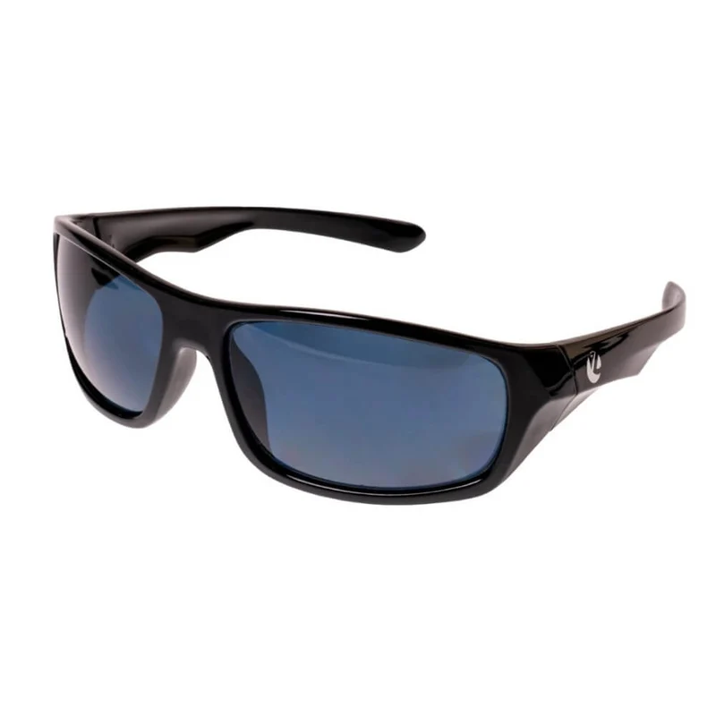 Polarized Glasses