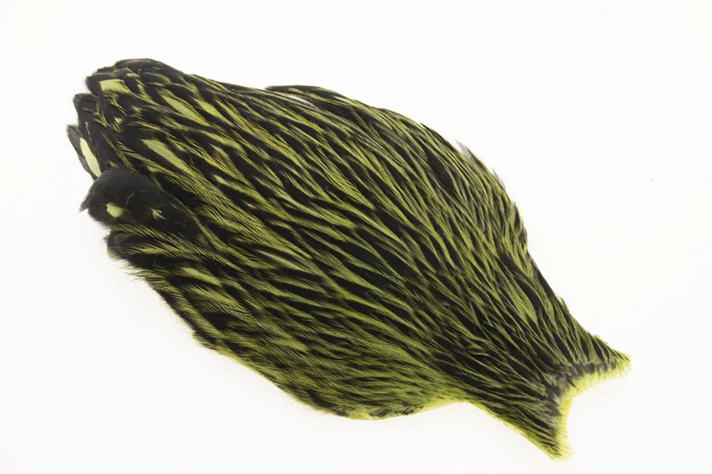 Whiting American Hen Cape Black Laced - Olive
