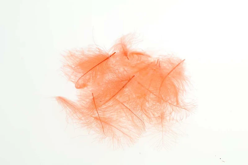 Flyco Cul De Canard - Fluo. Orange