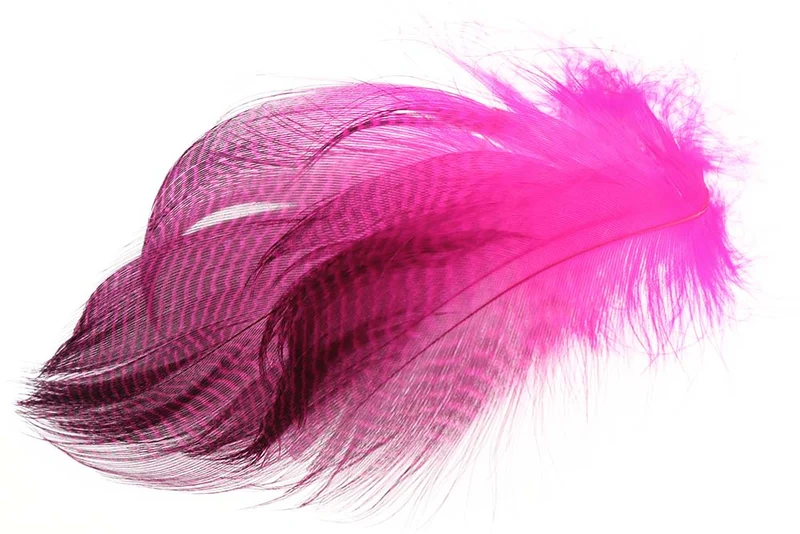 Krickente, gestreifte Flanke - Fl. Rosa