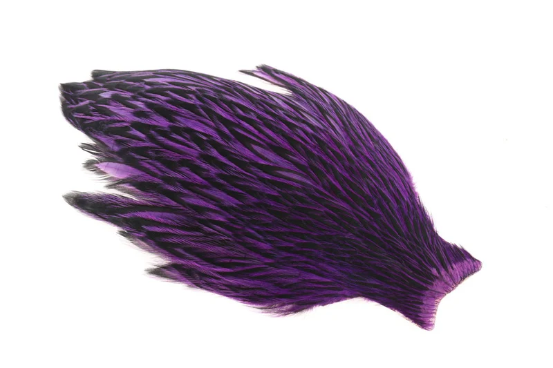 Whiting American Hen Cape Schwarz besäumt - Lila