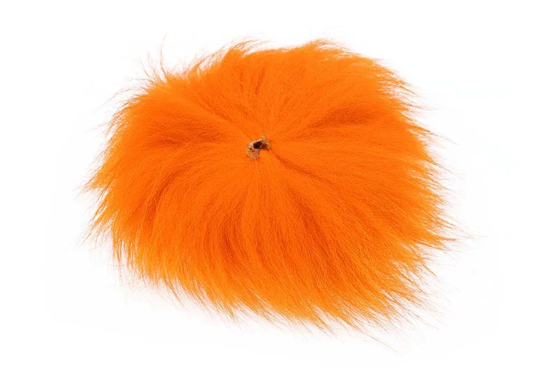 Polarfuchs - Orange