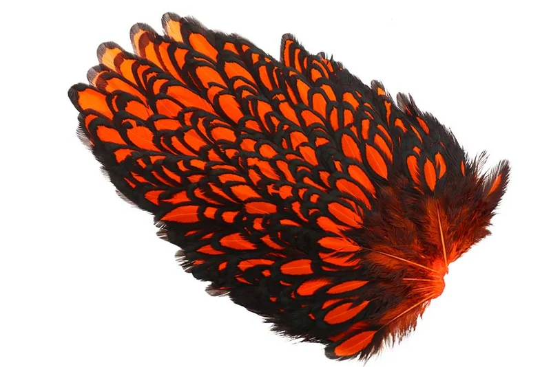 Whiting American Hen Sattel, schwarz gesäumt - orange