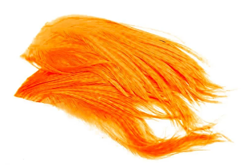 Hackler-Hahn - Fl.Orange