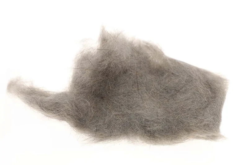 SLF-Eichhörnchen – Naturgrau