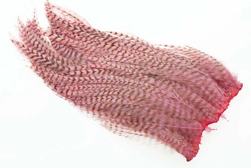 Ewing #1 Gebleichter rosa Grizzly Deceiver Patch