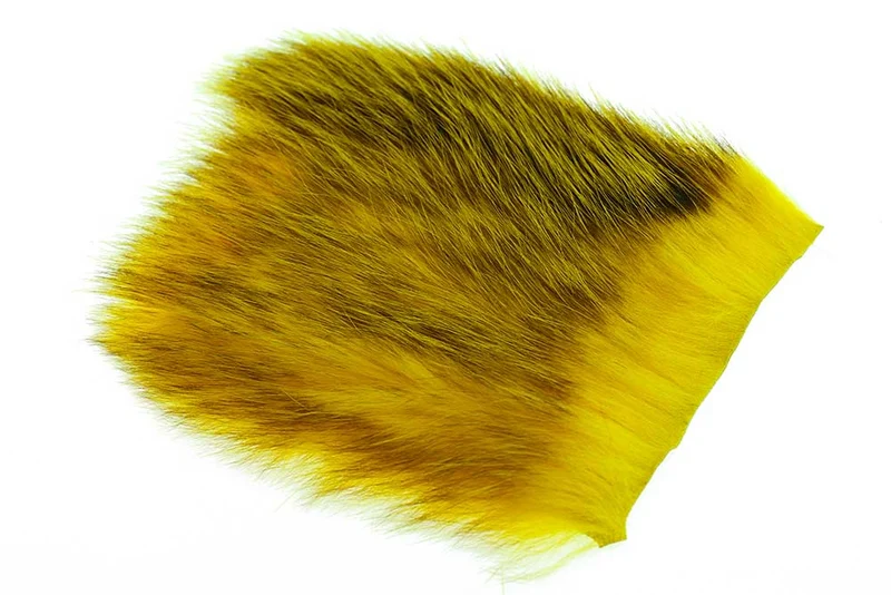 US-Opossum - Gelb