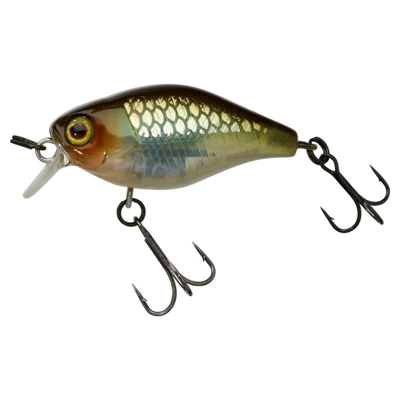 Chubby 38 (Floating)