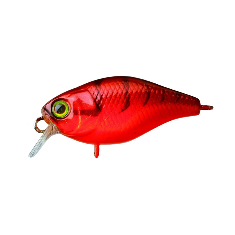 Chubby 38 (Floating)