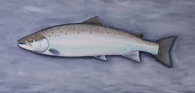 Thomas Weiergang – Doggerland-Lachs