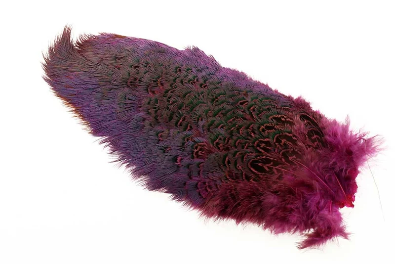 Halsbandfleck am Bürzel – Fuchsia