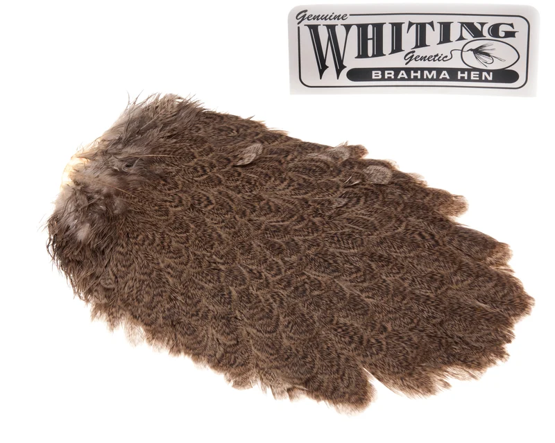 Whiting Brahma Sattel - Hellbraun