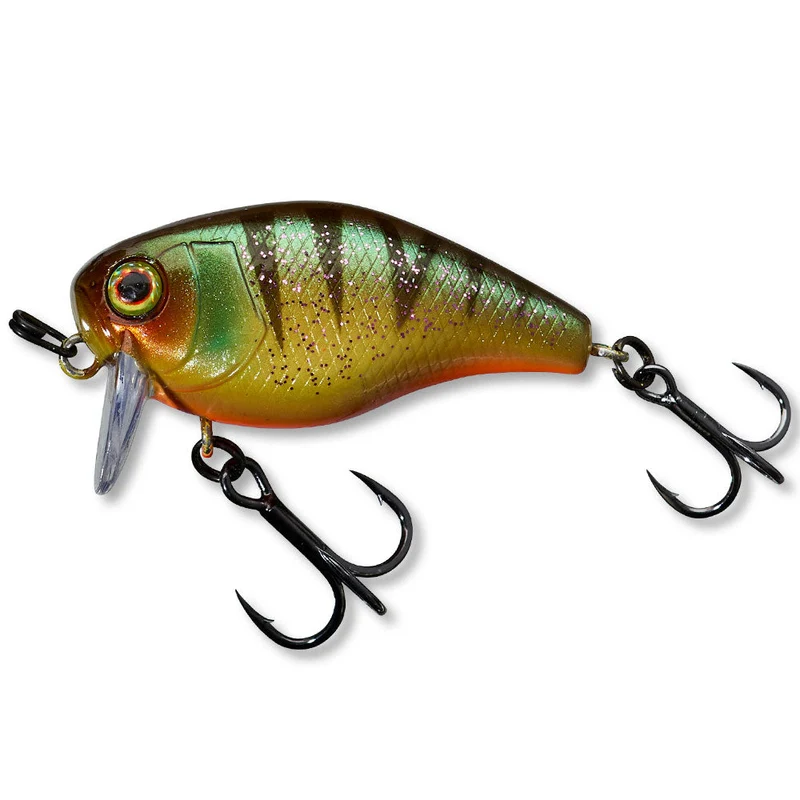 Chubby 41 SSR