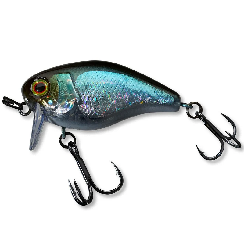 Chubby 41 SSR
