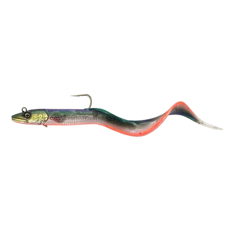 Conger Eel