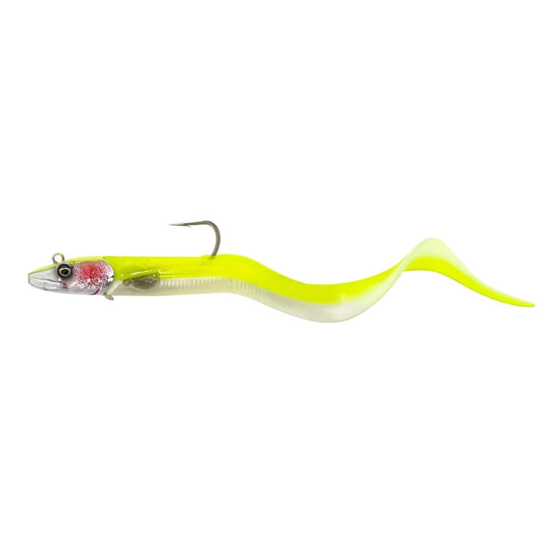 Conger Eel