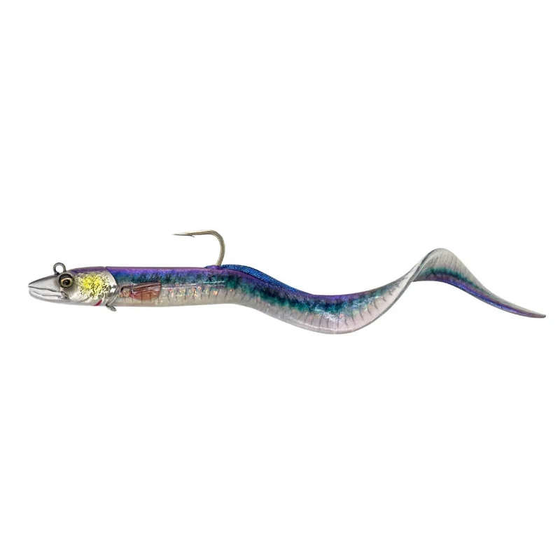Conger Eel