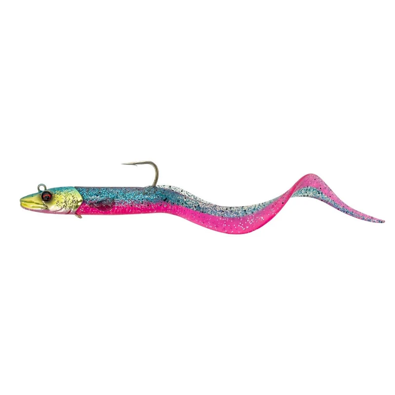Conger Eel