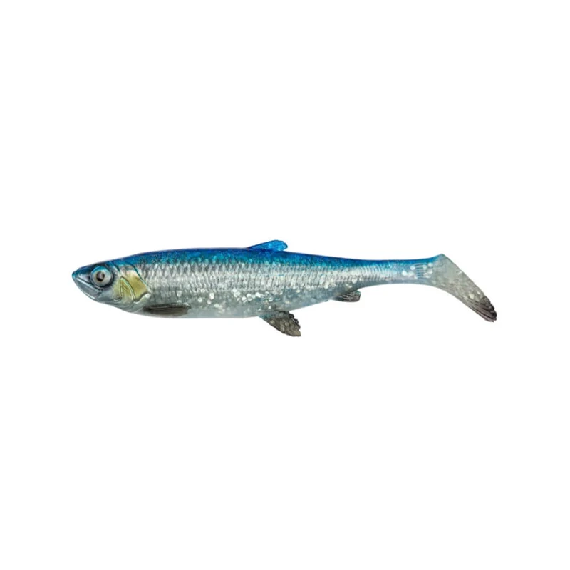 3D Herring Shad V2