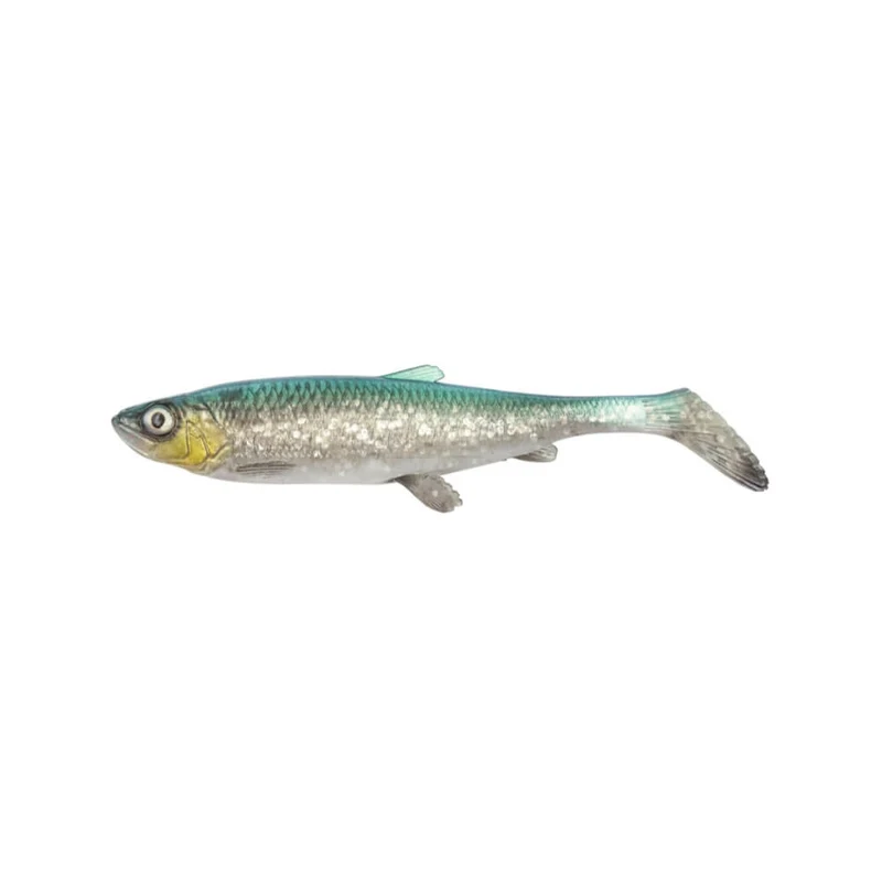 3D Herring Shad V2