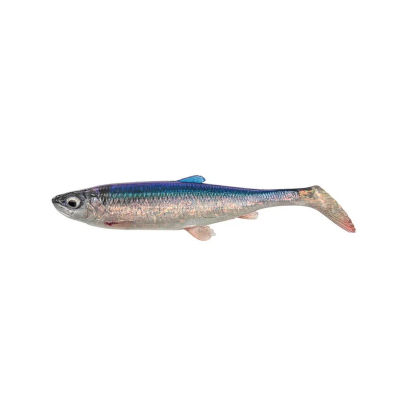 3D Herring Shad V2