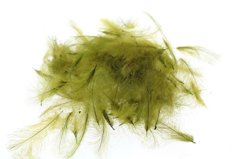 Wählen Sie CDC 1 Gramm – Golden Olive