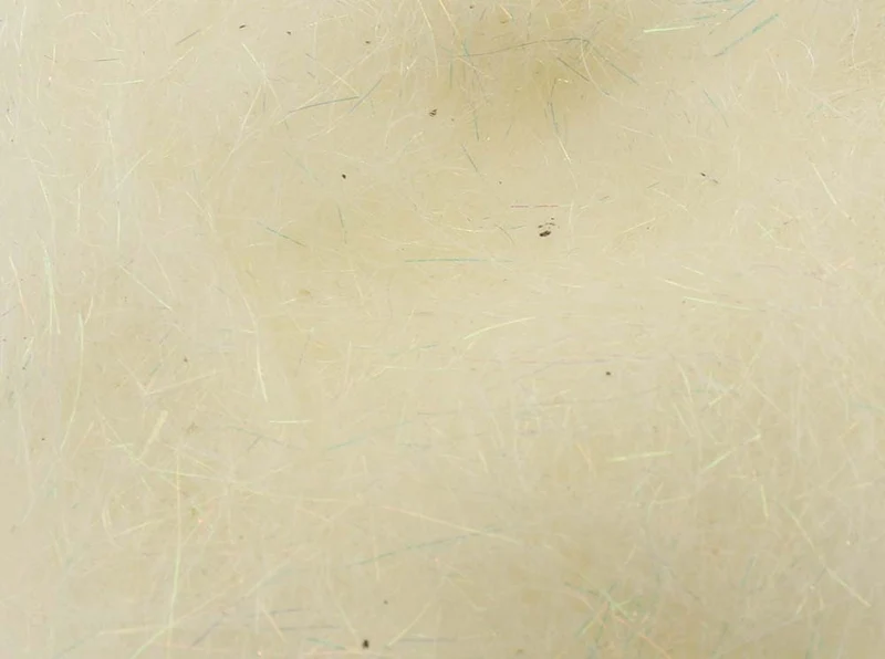SLF-Synchronisation von Dave Whitlock – Minnow Belly