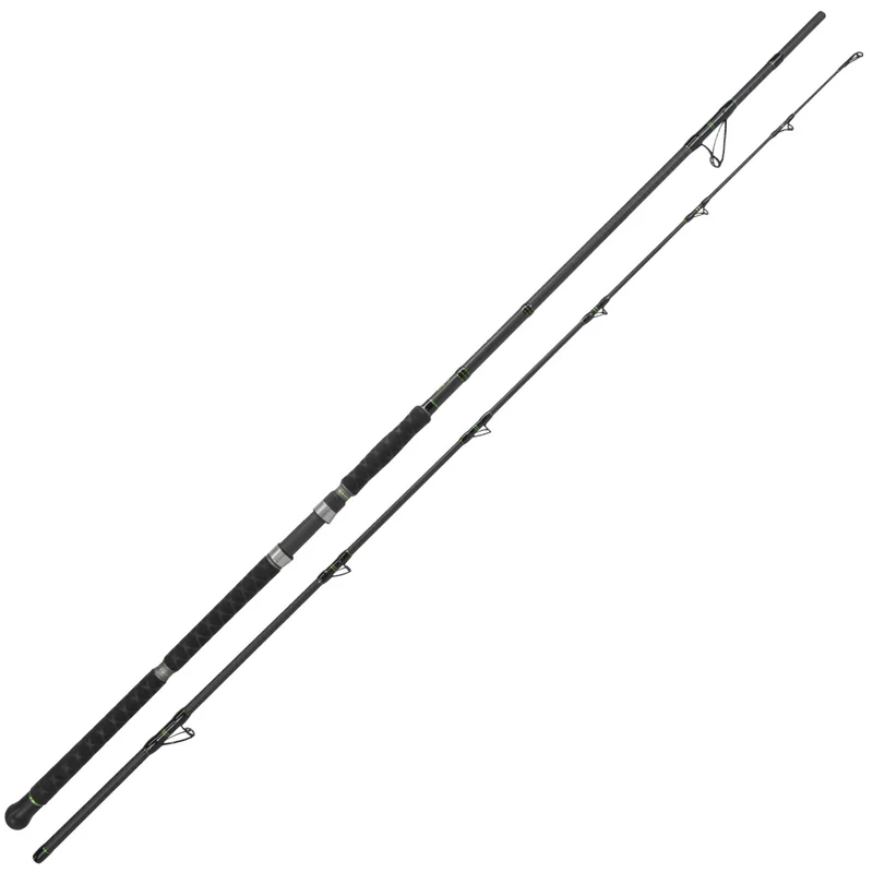 Catix Long Range Welsrute 3,10m | 300-600g