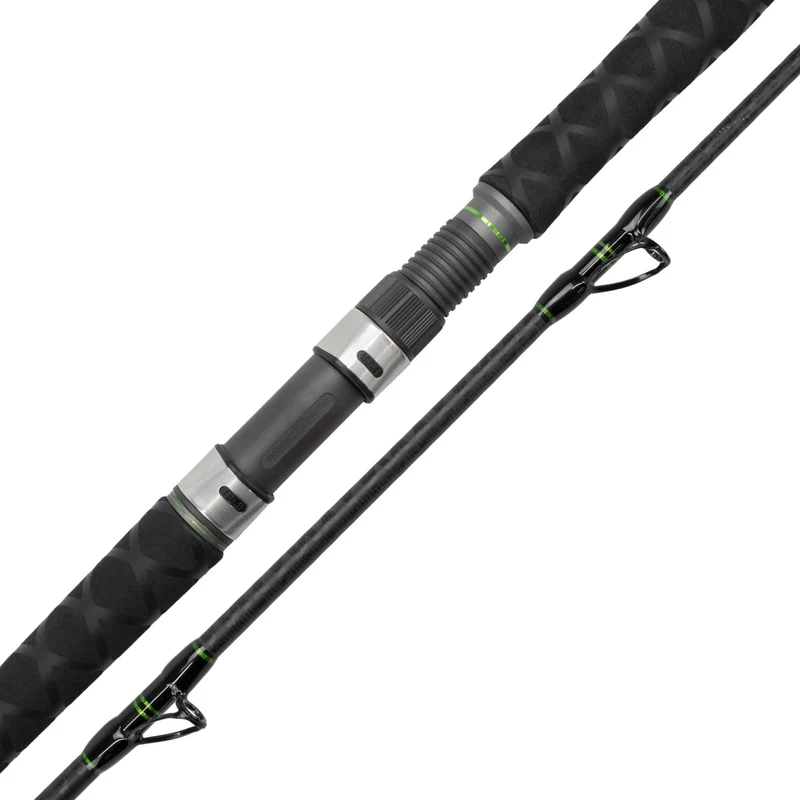 Catix Long Range Welsrute 3,10m | 300-600g
