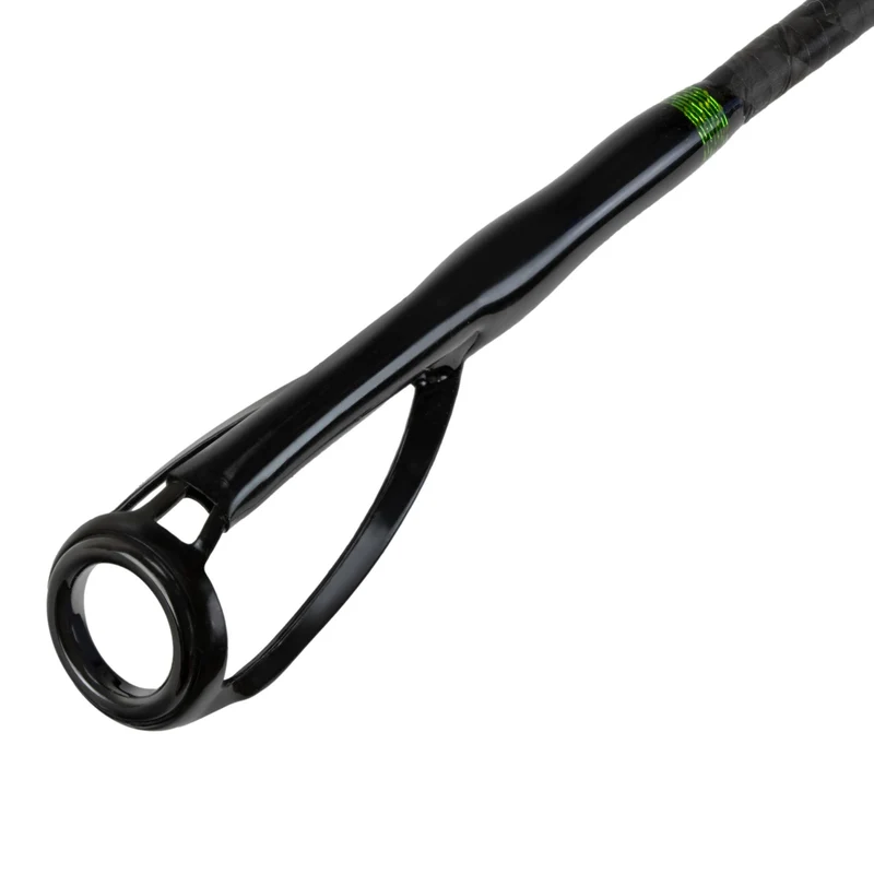Catix Long Range Welsrute 3,10m | 300-600g