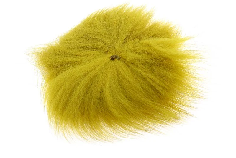 Arctic Fox – Goldene Olive