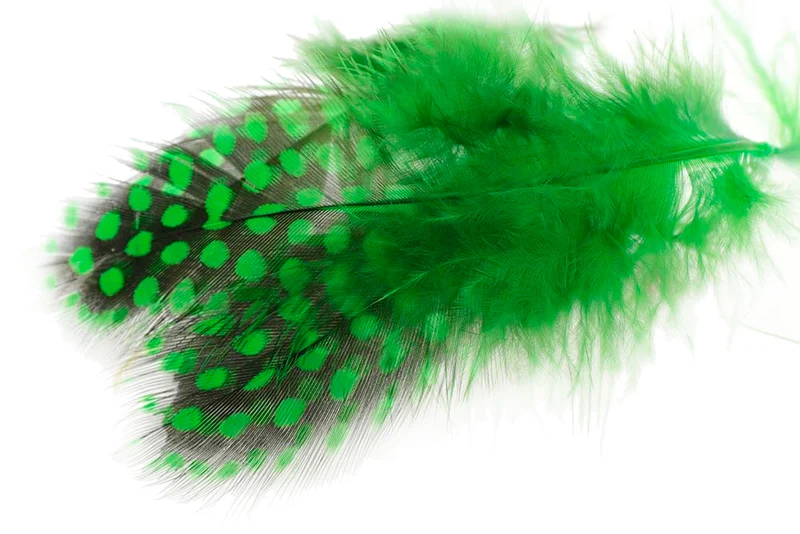 Perlhuhn - Grünes Hochlandperlhuhn