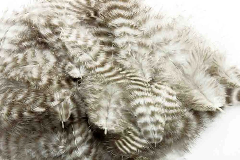 Weiche Hecheln - Grizzly