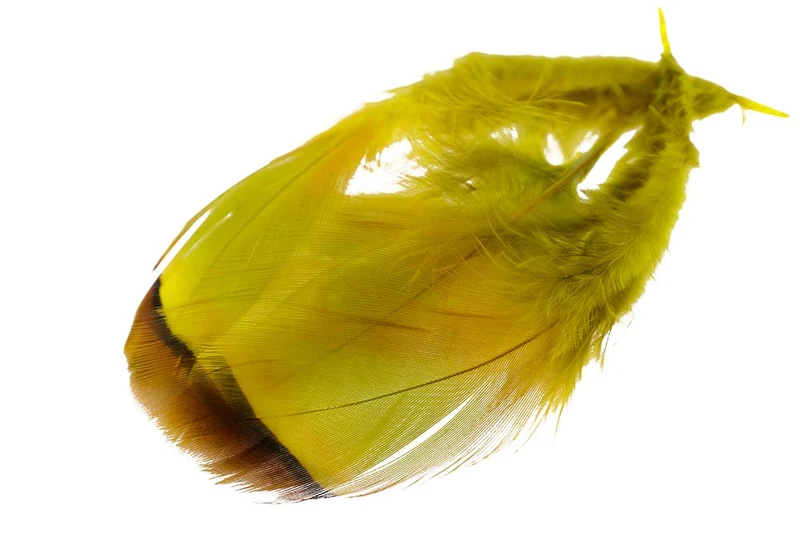 Französisches Rebhuhn - Goldene Olive