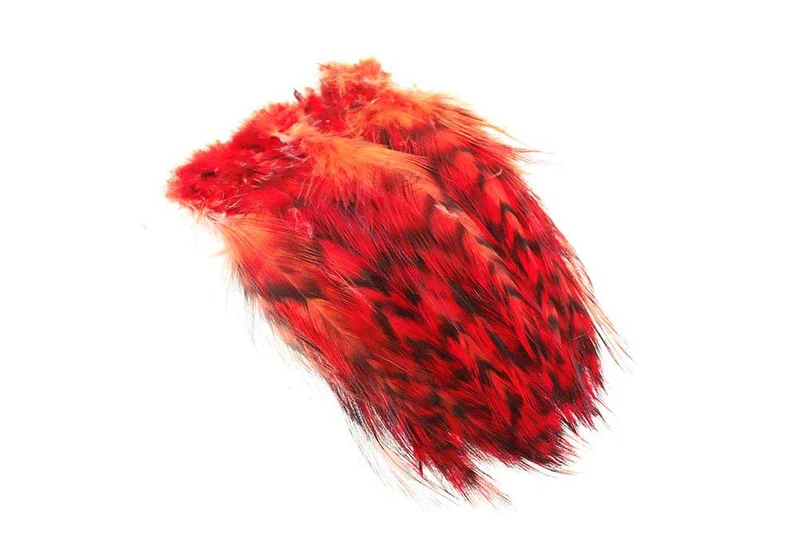 Cock Hackler Grizzly - Rot