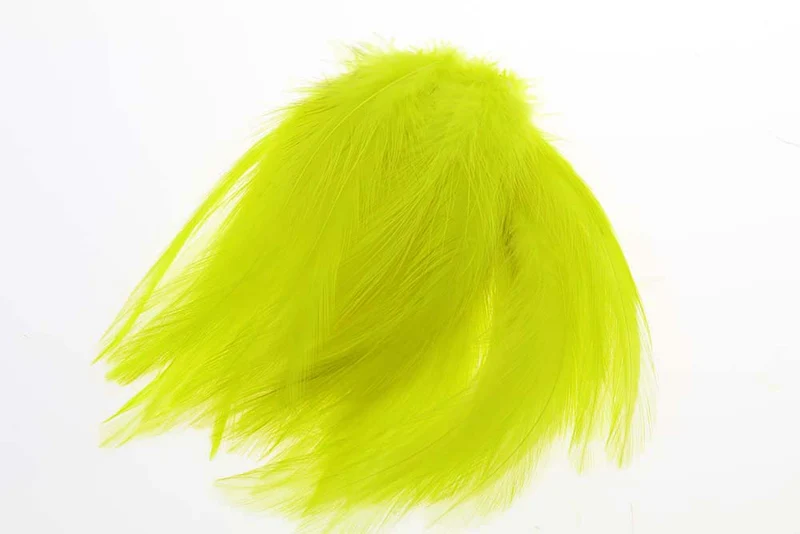Hane Hackler - Fl.Yellow