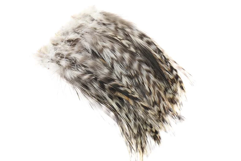 Cock Hackler Grizzly - Natur