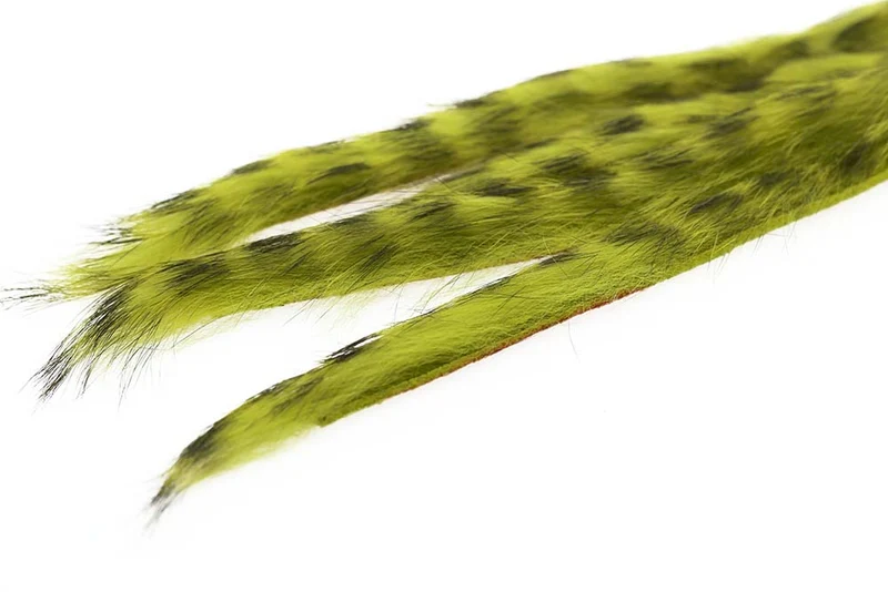 3 mm Kaninchenstreifen-Zonkerstripe – Helloliv