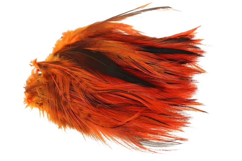 Cock Hackler Badger - Orange