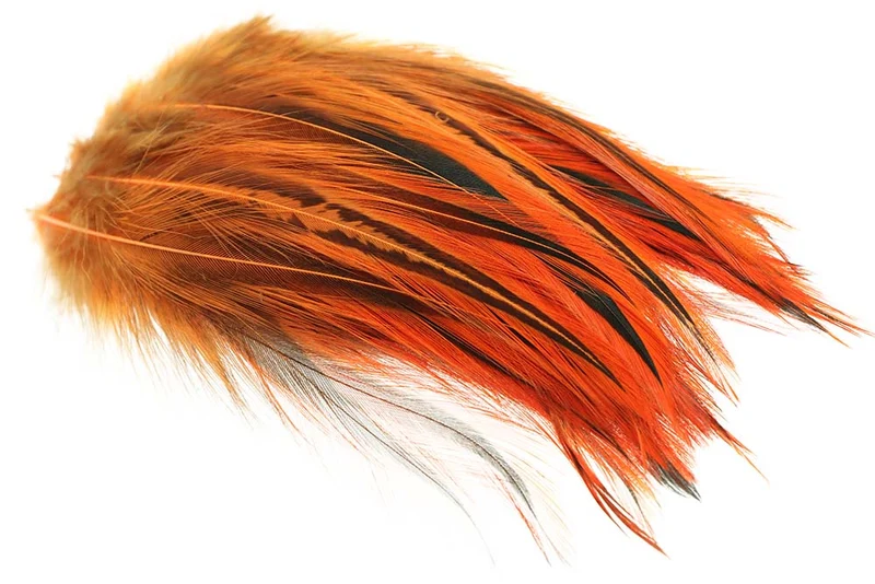 Rooster Hackler Badger - Fl. Orange
