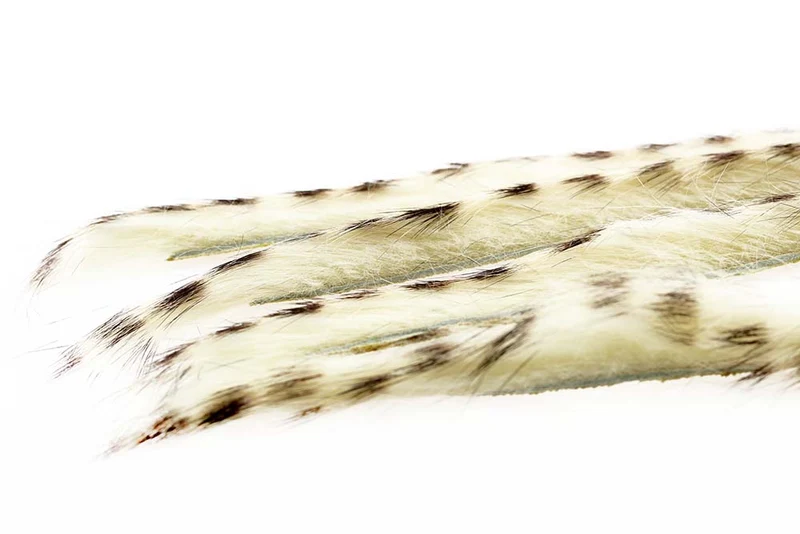 3 mm Kaninchenstreifen-Zonkerstripe – Creme